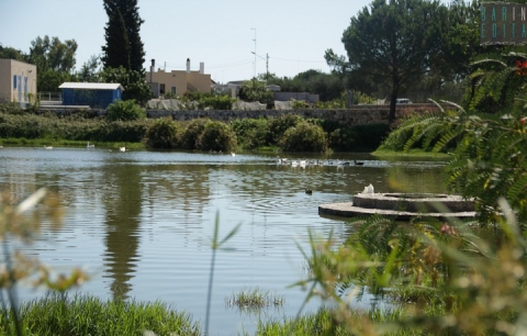 Conversano, gli irrisolti e terribili delitti della masseria e del laghetto